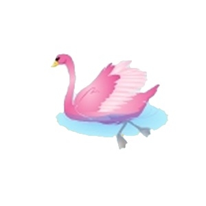 Pink Valentine Swan